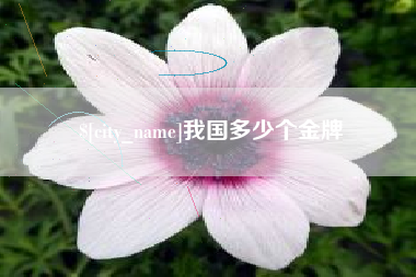 海宁我国多少个金牌