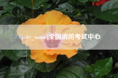 海宁全国消防考试中心