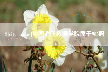海宁中国消防救援学院属于985吗