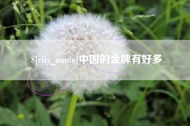 海宁中国的金牌有好多