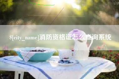海宁消防资格证怎么查询系统