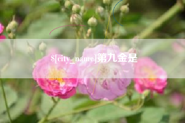 海宁第九金是
