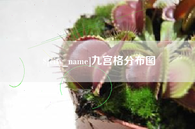 海宁九宫格分布图
