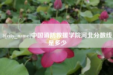海宁中国消防救援学院河北分数线是多少