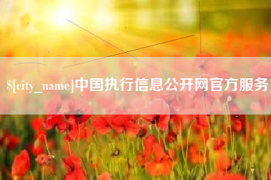 海宁中国执行信息公开网官方服务