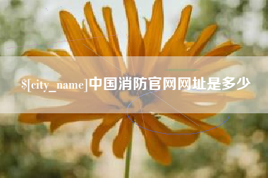 海宁中国消防官网网址是多少