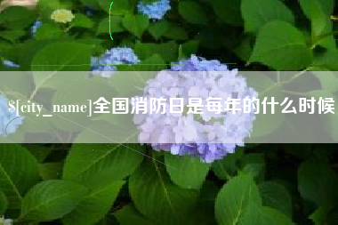 海宁全国消防日是每年的什么时候