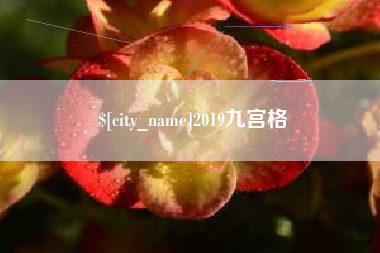 海宁2019九宫格