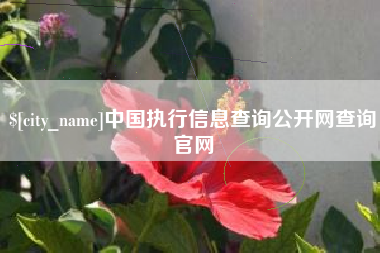 海宁中国执行信息查询公开网查询官网