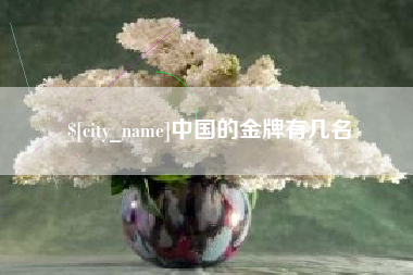 海宁中国的金牌有几名