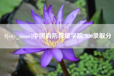 海宁中国消防救援学院2020录取分