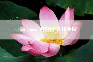 海宁中国十九枚金牌