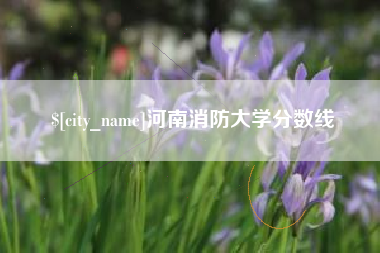 海宁河南消防大学分数线