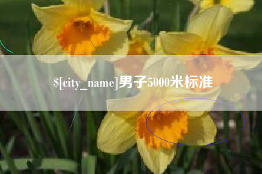 海宁男子5000米标准