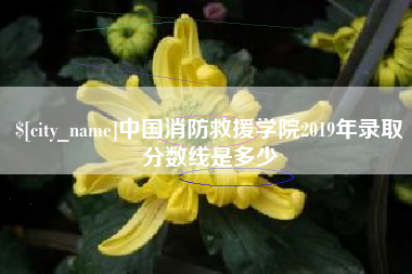 海宁中国消防救援学院2019年录取分数线是多少