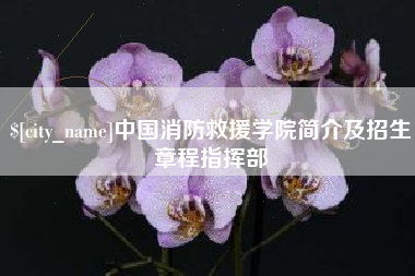 海宁中国消防救援学院简介及招生章程指挥部