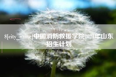 海宁中国消防救援学院2021年山东招生计划