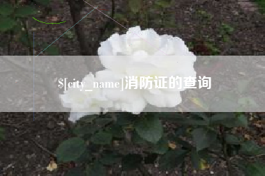 海宁消防证的查询