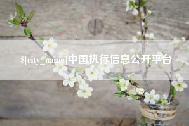 海宁中国执行信息公开平台