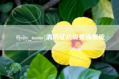 海宁消防证初级查询系统