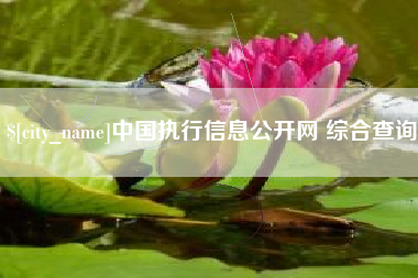 海宁中国执行信息公开网 综合查询