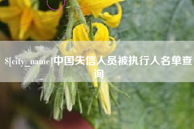 海宁中国失信人员被执行人名单查询