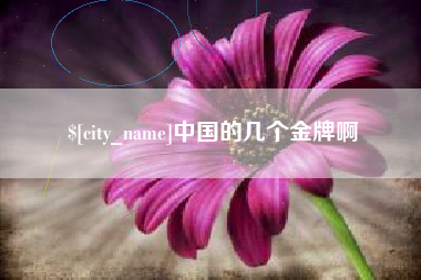 海宁中国的几个金牌啊