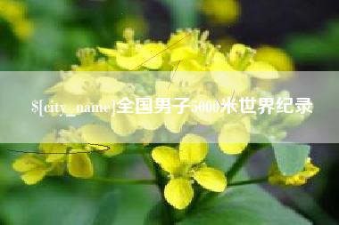 海宁全国男子5000米世界纪录