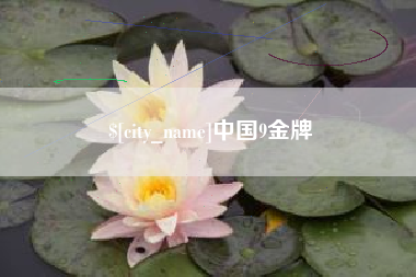 海宁中国9金牌