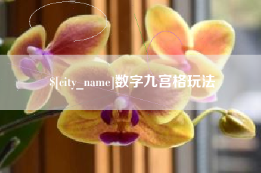 海宁数字九宫格玩法