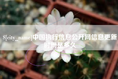海宁中国执行信息公开网信息更新时间是多久