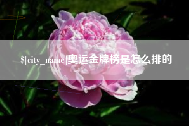 海宁奥运金牌榜是怎么排的