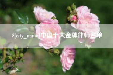 海宁中国十大金牌律师名单
