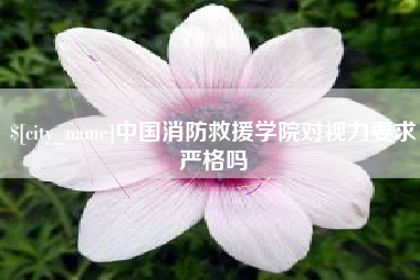 海宁中国消防救援学院对视力要求严格吗