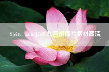 海宁2020九宫格图片素材高清