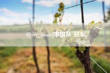 海宁中国队 冠军