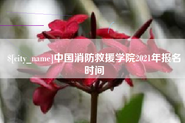 海宁中国消防救援学院2021年报名时间