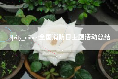 海宁全国消防日主题活动总结
