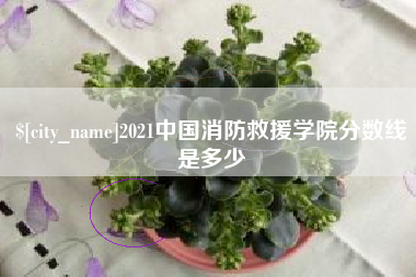 海宁2021中国消防救援学院分数线是多少