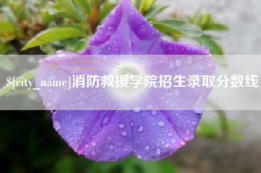 海宁消防救援学院招生录取分数线