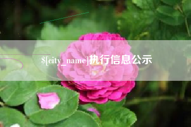 海宁执行信息公示