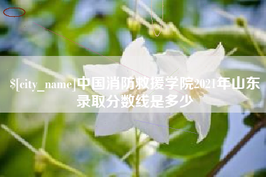 海宁中国消防救援学院2021年山东录取分数线是多少