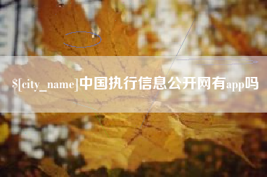 海宁中国执行信息公开网有app吗