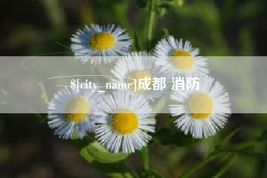 海宁成都 消防