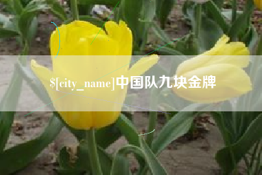 海宁中国队九块金牌