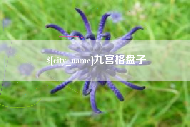 海宁九宫格盘子