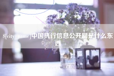 海宁中国执行信息公开网是什么东西