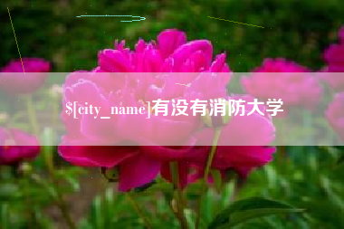 海宁有没有消防大学