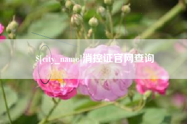 海宁消控证官网查询