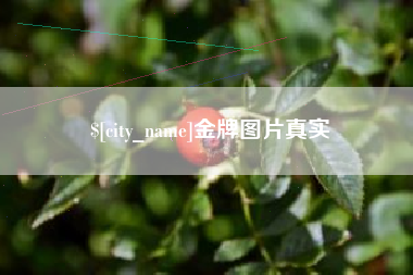 海宁金牌图片真实